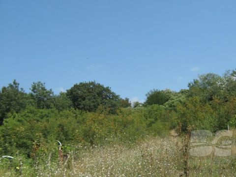 Land in Albena