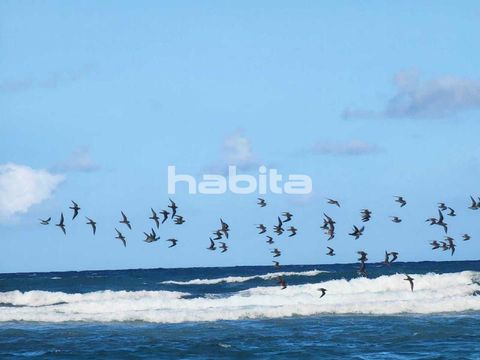 Land in Punta Cana