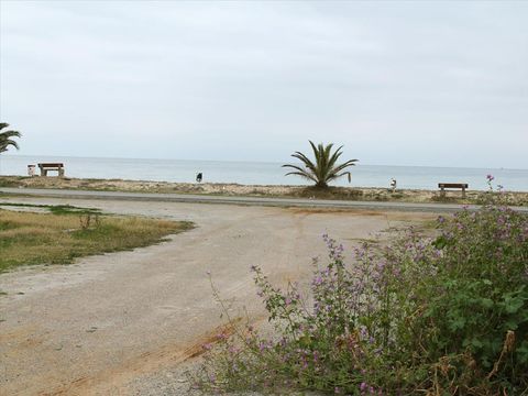 Land in Chalkidike