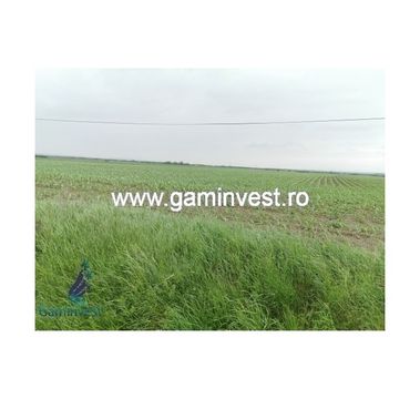 Land in Oradea