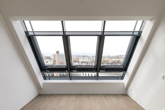 Penthouse in Vienna