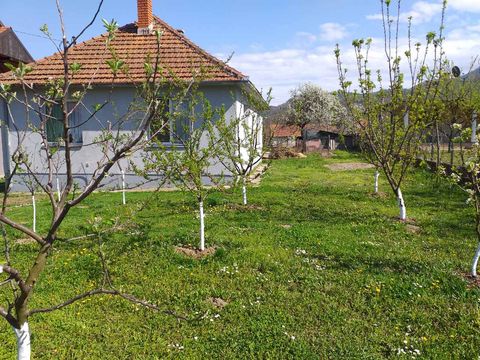 Detached house in Loznica