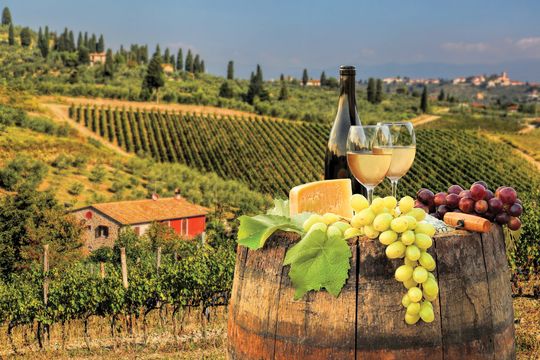 Farm in Tuscany