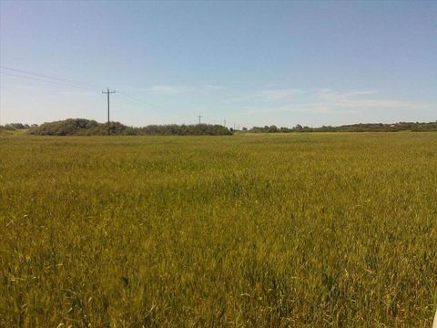 Land in Rodos