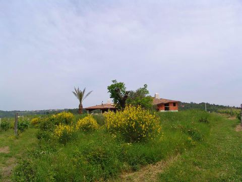 House in Šared