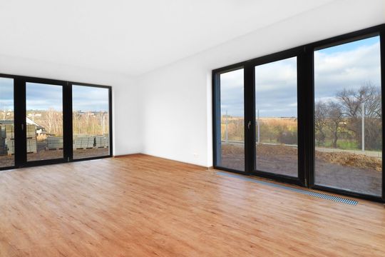 Detached house in Prague