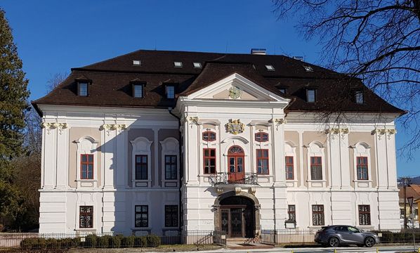 Castle in Martin