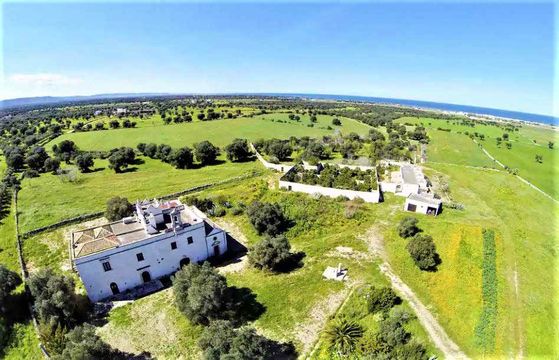Farm in Ostuni