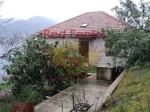 House in Rose