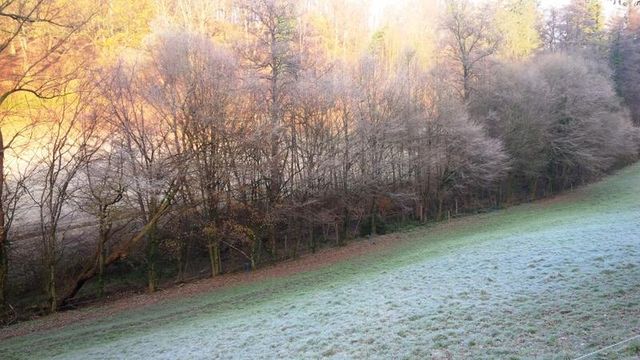 Land in Baden-Baden