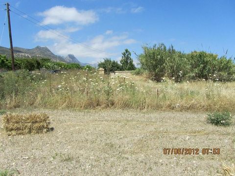 Land in Doğanköy