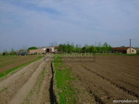 Farm in Nădlac