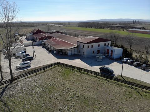 Plant / Factory in Novi Sad