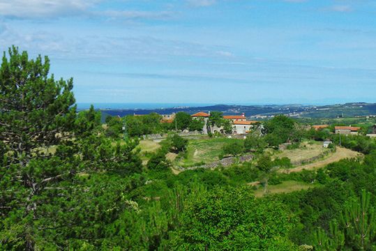 Land in Novo mesto