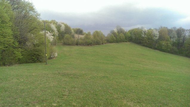 Land in Vadu Crisului