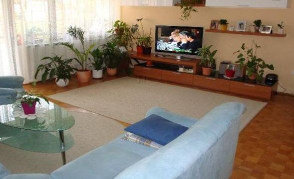 Apartment in Lucija