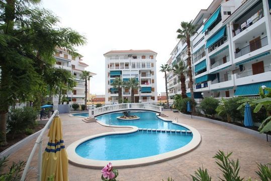 Apartment in Torrevieja